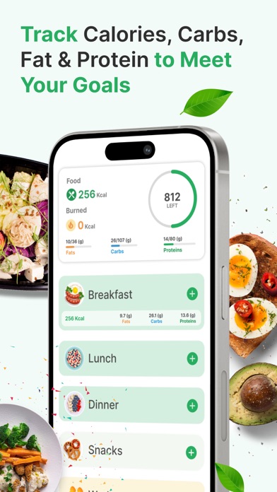 Cal AI Photo Food Logging